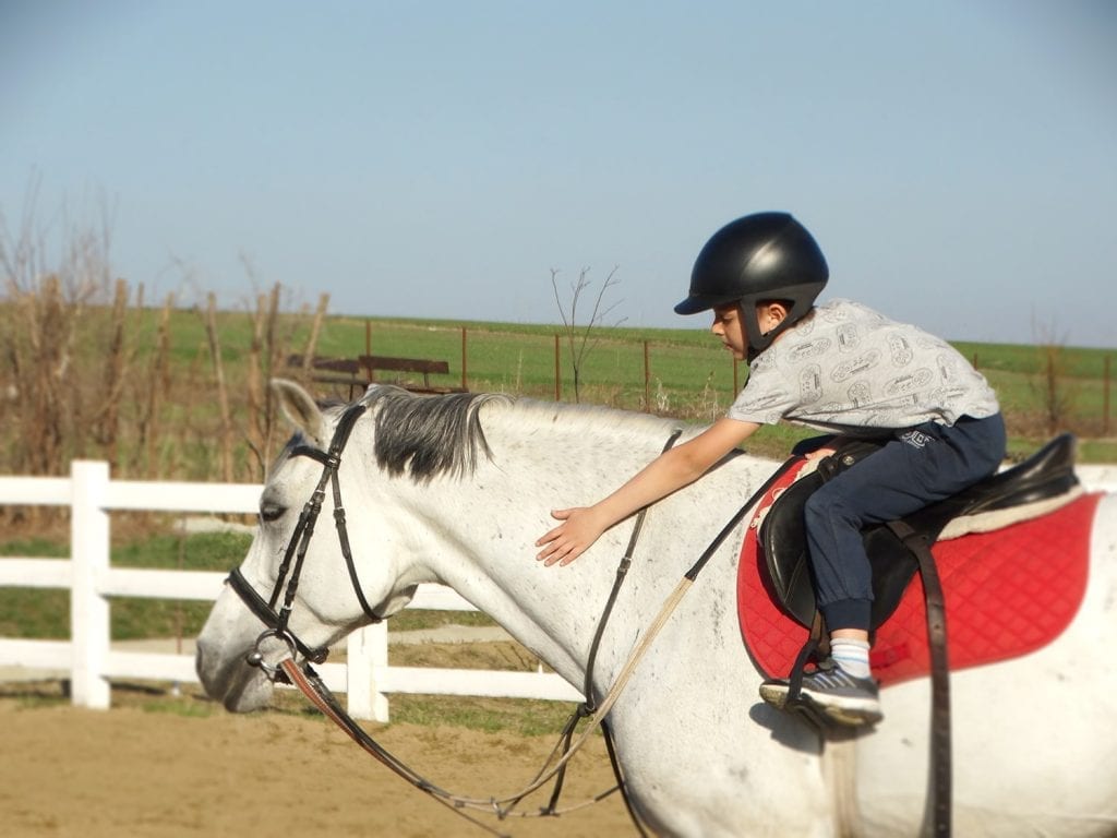 Clubul sportiv Equester - lectii de calarie copii Iasi